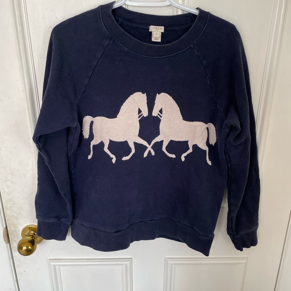 Cute J Crew Sweatshirt